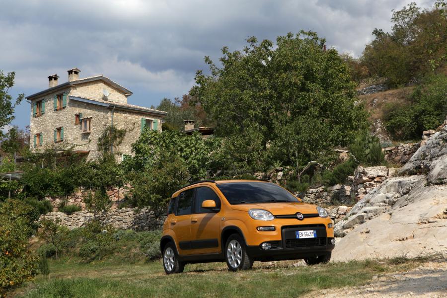  Fiat Panda Trekking 2012 года  (фото 25 из 50)